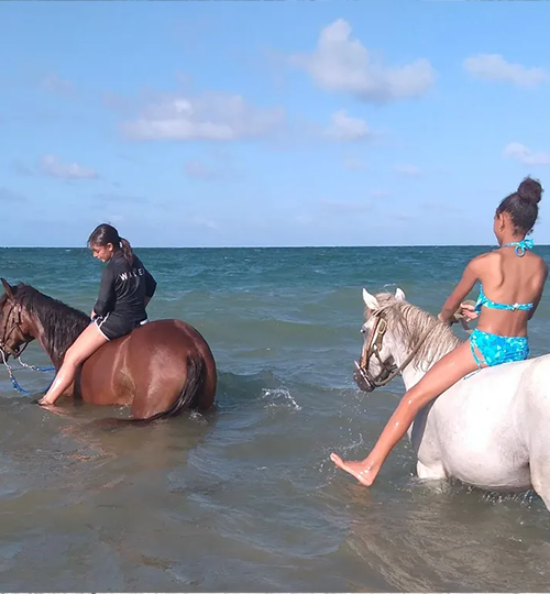 Rainforest River Rides goes to the Beach